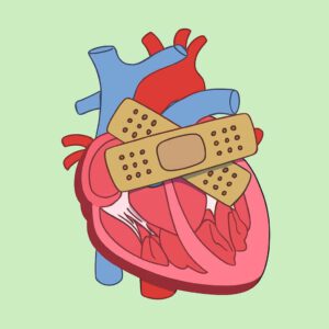 Artwork für das Projekt "DECD Health"